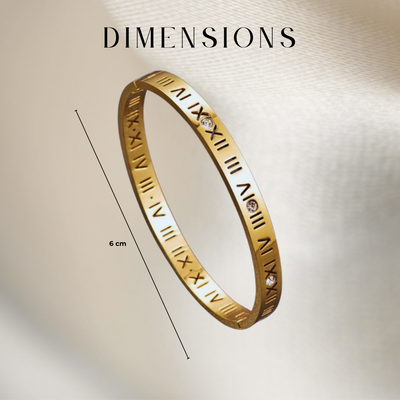 Titanium Roman Bracelet